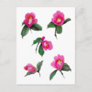 Recherche de peintures roses cartes postales Floral