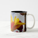 Recherche de variété tasses Jardin