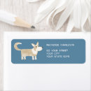Recherche de corgi étiquettes adresse retour Dog