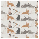 Recherche de race de chat Motif