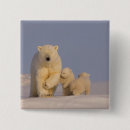 Recherche de ursus badges Bébé