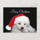 Recherche de bichon vœux cartes Xmas