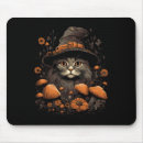 Recherche de femme chat tapis souris Amoureux des chats