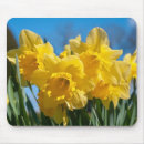 Recherche de jonquilles tapis souris Fleurs jaunes