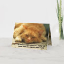 Recherche de animaux lol cartes postales Chat