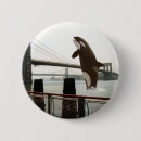 Recherche de sauvez les baleines badges Orque