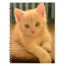Recherche de chaton carnets Beau