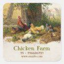 Recherche de poulet autocollants Agriculteur