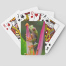 Zoek naar kikkers speelkaarten Wild