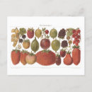 Recherche de illustration de fruit cartes postales Jardin