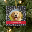 Recherche de chien memorial ornements Pour animaux