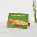 Zoek naar gelukkige vogel kaarten Grappig
