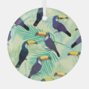 Recherche de toucan ornements Arrière plan