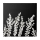 Recherche de romarin carreaux Tuile