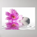Recherche de marguerite de gerbera posters Marguerites