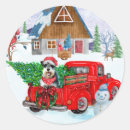 Recherche de chien de schnauzer autocollants Noël