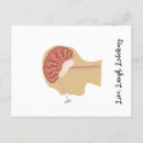 Recherche de humour anatomique posters Plaisanter