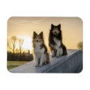 Recherche de étagère magnets Dog