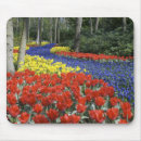 Recherche de hollande tapis souris Flore