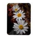 Zoek naar wilde bloemen magneten Blauw