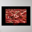 Recherche de piment rouge posters Chaud