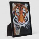 Recherche de jungle plaques Animal