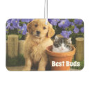 Recherche de chaton voiture accessoires Animaux domestiques