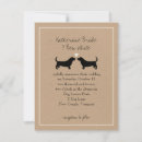 Recherche de chien basset hound invitations Animaux