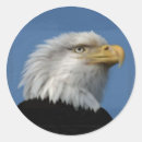 Recherche de eagle usa autocollants Aigle