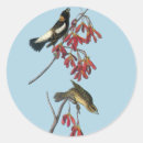 Recherche de audubon autocollants Oiseau