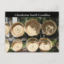 Zoek naar charleston sc briefkaarten Charleston south carolina
