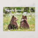Recherche de amitié cartes postales Jour des valentines