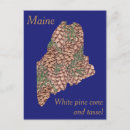 Zoek naar maine state briefkaarten Natuur