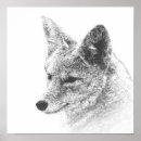 Zoek naar zwarte witte wolf posters Wild