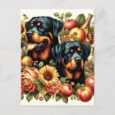 Zoek naar pet painting briefkaarten Dogs