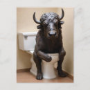 Zoek naar buffels briefkaarten Bizon