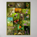 Recherche de papillon art Collage
