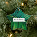 Zoek naar natuur kerstdecoratie Buiten