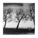 Recherche de arbre noir carreaux Arbres