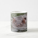 Recherche de zoos tasses Mammifères