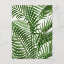 Recherche de hawaïen vintage cartes postales Palmier