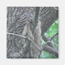 Recherche de dormant magnets Adorable