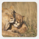 Zoek naar van afrika stickers Horizontaal