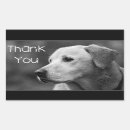 Zoek naar zwarte labrador retriever honden stickers Puppy