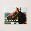 Recherche de cheval course puzzles Équestre