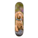 Recherche de photos skateboards Pour elle