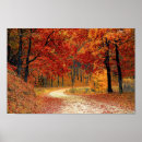 Recherche de arbres colorés posters Automne