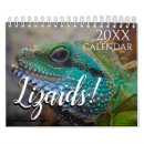 Recherche de lézard bureau fournitures Gecko