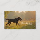 Recherche de rottweiler cartes visite Dog