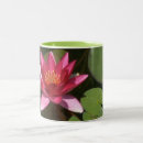 Recherche de bougies tasses Nature